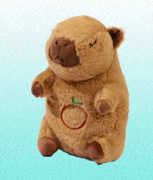 Baby Toys & Activity Equipment